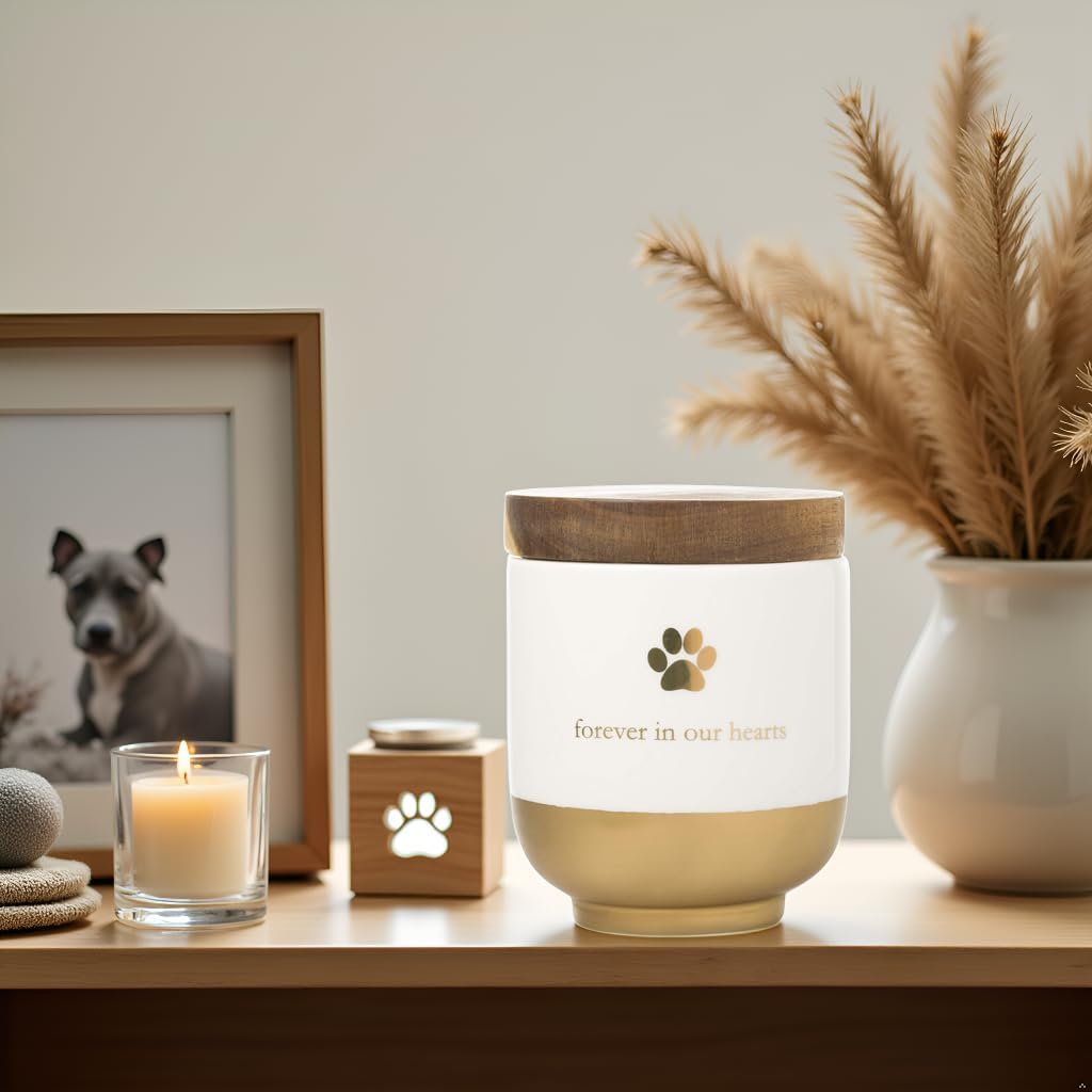 Pet Ceramic Forever in Our Hearts Urn, Pet Memorial, Dog or Cat Keepsake Urn, Rainbow Bridge, Gold