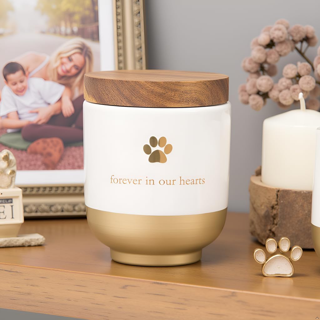 Pet Ceramic Forever in Our Hearts Urn, Pet Memorial, Dog or Cat Keepsake Urn, Rainbow Bridge, Gold