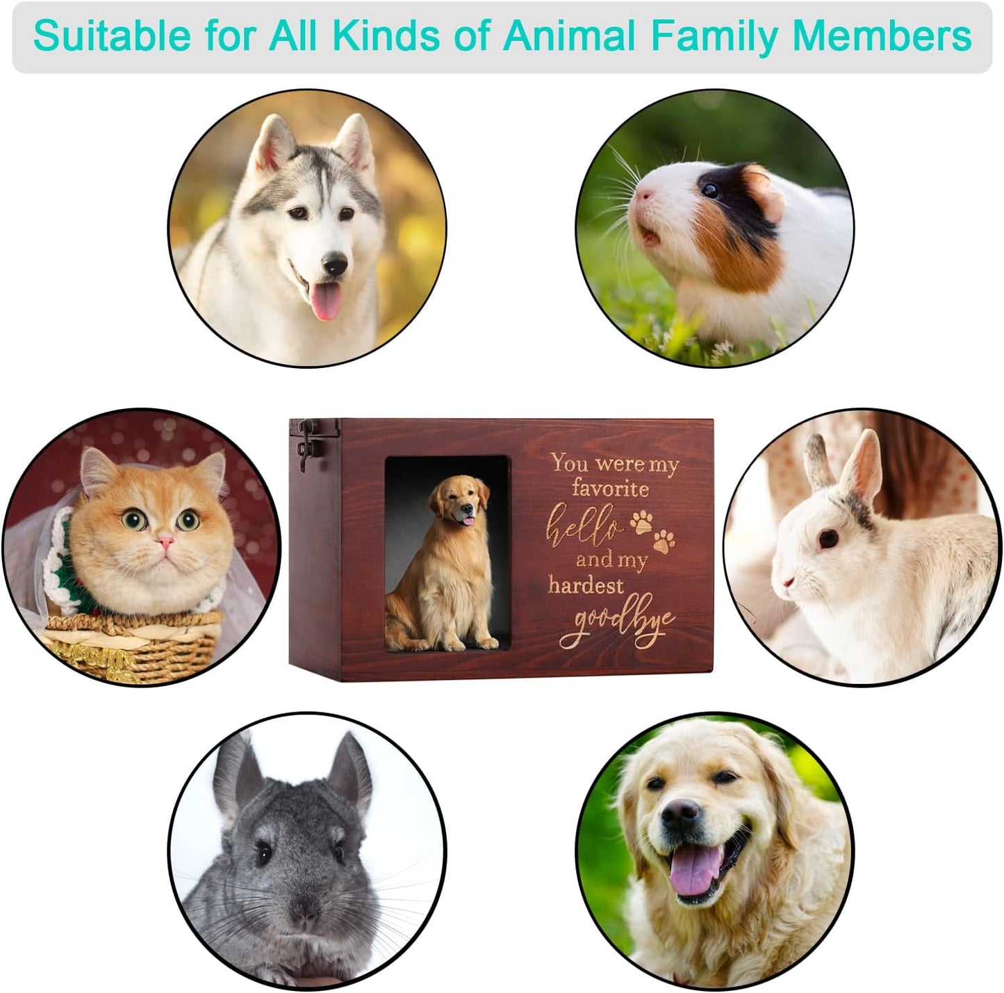 "You Were My Favorite..." Memorial Urn for Pet Ashes with Photo Frame and Black Flannel Lining