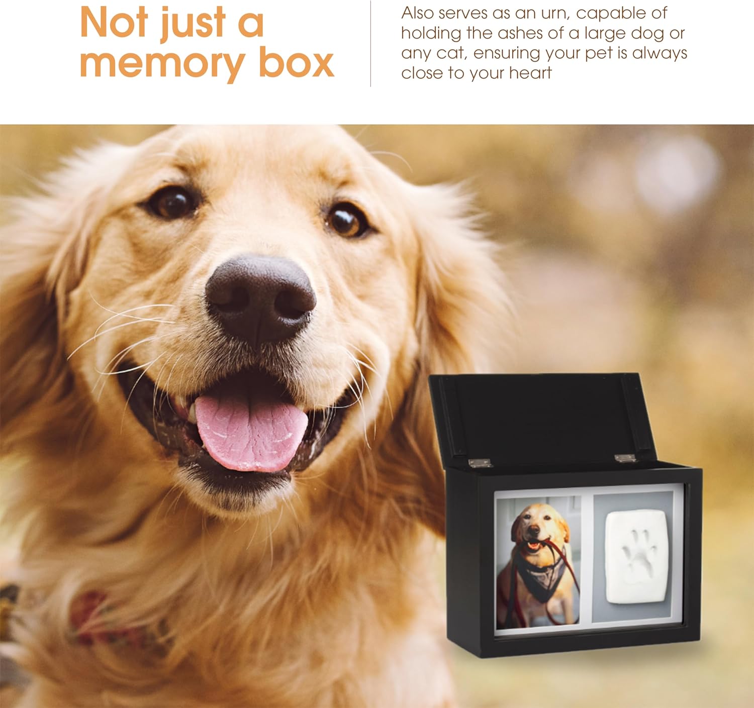 Pet Memory Box & Urn – Solid Wood, Black Finish, Personalized Keepsake with Clay Paw-Print Kit & 4" × 6" Photo Frame – Holds Ashes, Collars, Special Toys & Memories